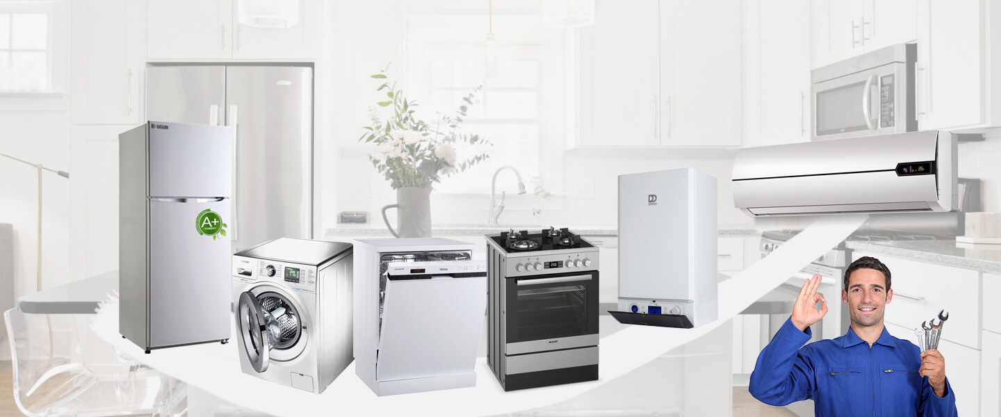 Torbalı Philips Servisi